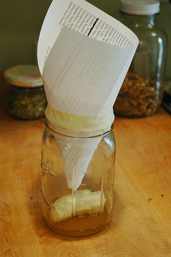 How to Get Rid of Fruit Flies, naturally!