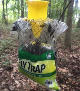 FTD Disposable Fly Trap